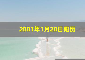 2001年1月20日阳历