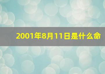 2001年8月11日是什么命,2001年8月11日是阳历几号?