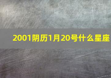 2001阴历1月20号什么星座