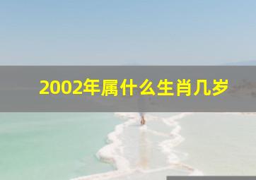 2002年属什么生肖几岁,2002年属什么生肖几岁什么命