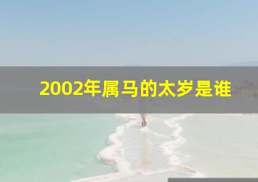 2002年属马的太岁是谁,02年出生的什么时候犯太岁