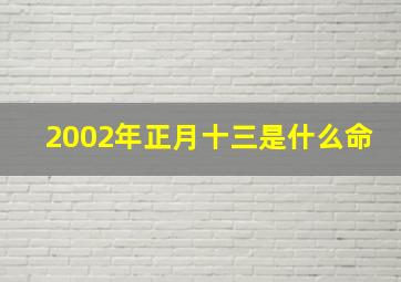 2002年正月十三是什么命,2002年正月十三属什么生肖