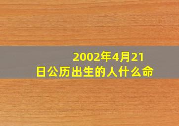 2002年4月21日公历出生的人什么命,请大师帮看下八字