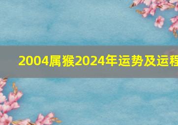 2004属猴2024年运势及运程,2004年属猴人2024年运势