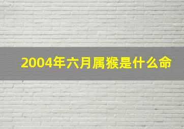 2004年六月属猴是什么命,2004年六月的猴