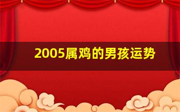 2005属鸡的男孩运势,2005属鸡男孩2024年运势