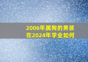 2006年属狗的男孩在2024年学业如何,2006年属狗男孩在2024年学业