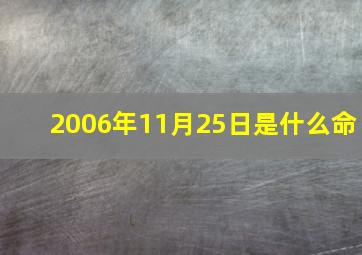 2006年11月25日是什么命