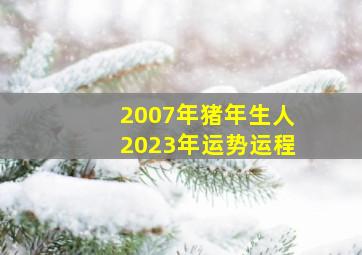 2007年猪年生人2023年运势运程,2007属猪2023年命运怎么样