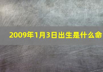 2009年1月3日出生是什么命,2009年1月2日5点30分出生的女孩五行缺什么