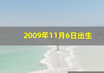 2009年11月6日出生