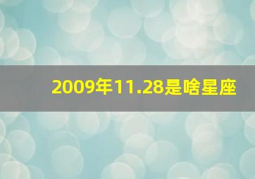 2009年11.28是啥星座,2009年11月29日是什么星座阳历