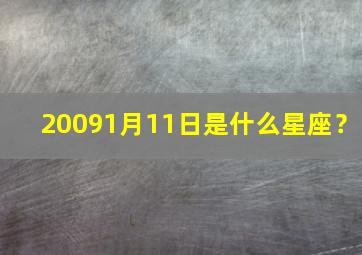 20091月11日是什么星座？,2009年1月11日是什么生肖