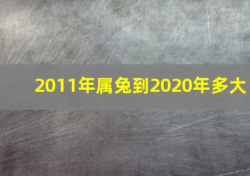 2011年属兔到2020年多大,属兔今年多少岁