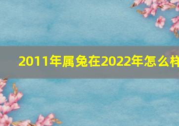2011年属兔在2022年怎么样,2011年属兔2022年运势及运程