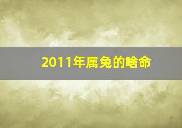 2011年属兔的啥命,2011年属兔的是什么命