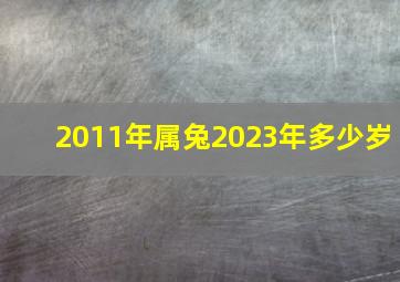 2011年属兔2023年多少岁,2011年兔今年几岁了