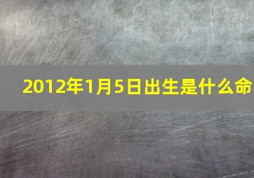 2012年1月5日出生是什么命,2012年1月5日出生的人