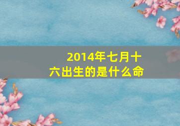 2014年七月十六出生的是什么命,2014年7月16日是什么座