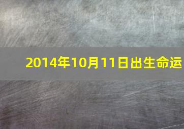 2014年10月11日出生命运,2014年10月14日出生