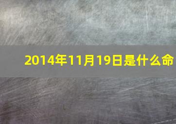 2014年11月19日是什么命