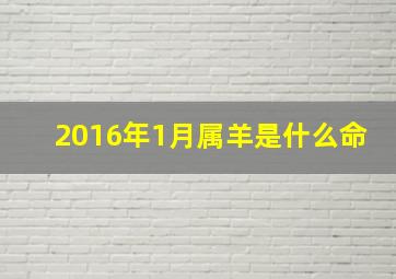 2016年1月属羊是什么命