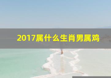 2017属什么生肖男属鸡,17年出生属于哪个属相17年出生的人是什么属相