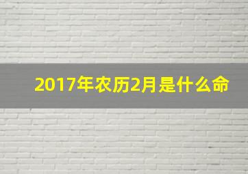 2017年农历2月是什么命,2017年农历2月17是什么命