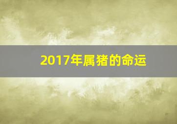 2017年属猪的命运,属猪的年份是哪几年