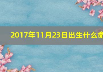 2017年11月23日出生什么命,我女儿是2003年11月17日下午3点15分生