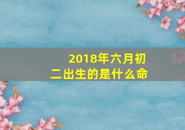 2018年六月初二出生的是什么命,2018年农历六月初二出生是什么命