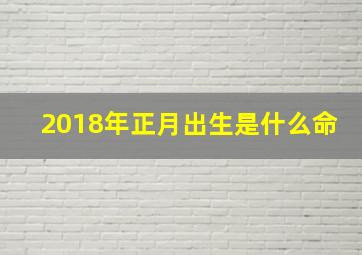 2018年正月出生是什么命,2018年正月出生是什么命人