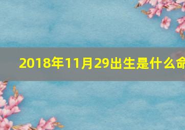 2018年11月29出生是什么命,2018年1月15日8：05出生生辰八字