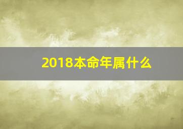 2018本命年属什么