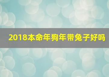 2018本命年狗年带兔子好吗,狗年本命年要注意什么