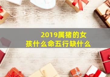 2019属猪的女孩什么命五行缺什么,2020起名字属猪女孩五行中缺金起名有何讲究