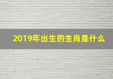 2019年出生的生肖是什么,2019年虚岁22岁属什么生肖的呢