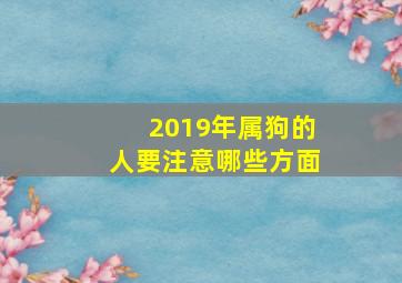 2019年属狗的人要注意哪些方面,属狗人2019年运势