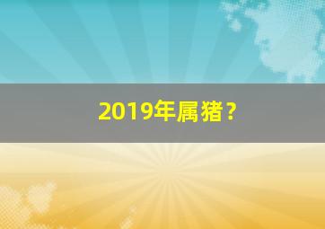 2019年属猪？