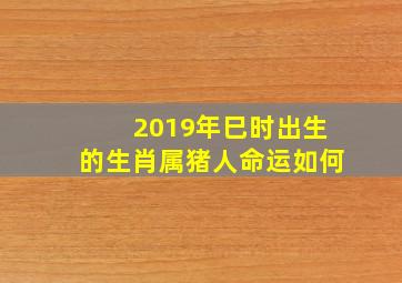 2019年巳时出生的生肖属猪人命运如何,