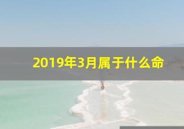 2019年3月属于什么命,2019年阳历3月属什么生肖