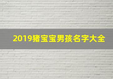 2019猪宝宝男孩名字大全