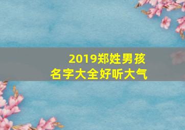 2019郑姓男孩名字大全好听大气,2019郑姓男孩名字大全好听大气两个字