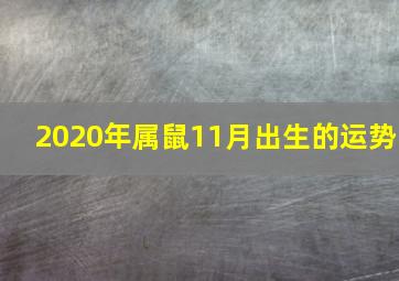 2020年属鼠11月出生的运势,2020年出生属鼠的人运势如何