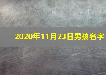 2020年11月23日男孩名字,2020庚子年十一月初三日出生的男孩如何起名