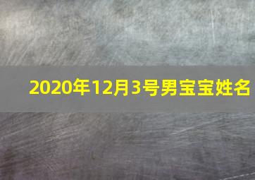 2020年12月3号男宝宝姓名