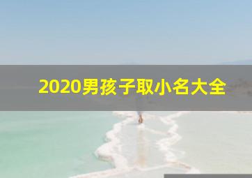 2020男孩子取小名大全,2020年男宝宝乳名大全