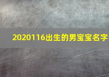 2020116出生的男宝宝名字,励志向上的男孩名字