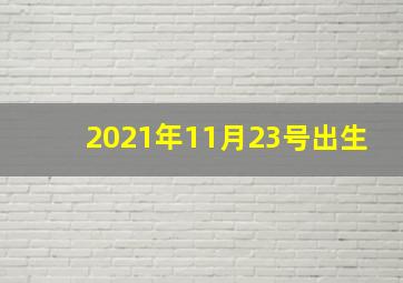 2021年11月23号出生,2020小寒后一天十一月二十三日出生的男孩如何起名