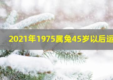 2021年1975属兔45岁以后运气,